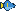 Queen Angelfish pixel sprite
