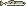 Bay Snook pixel sprite