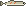 Freshwater Halfbeak pixel sprite