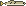 Common Snook pixel sprite