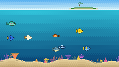 Coral Reef